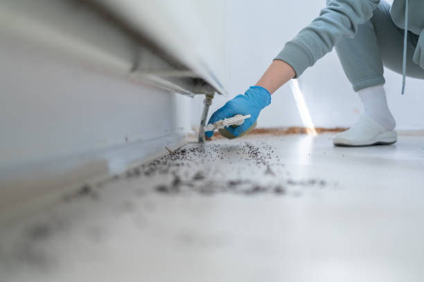 Professional Pest Control in Shelbina, MO